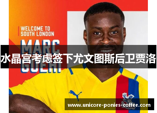 水晶宫考虑签下尤文图斯后卫贾洛