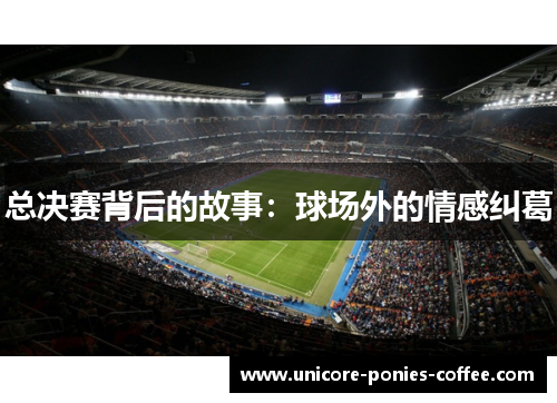总决赛背后的故事：球场外的情感纠葛